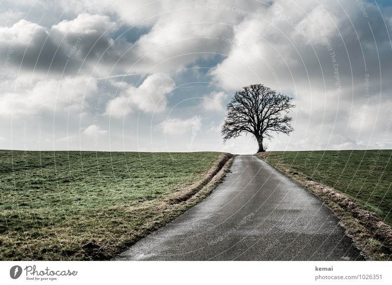 Horizont Umwelt Natur Landschaft Himmel Wolken Sonnenlicht Winter Schönes Wetter Eis Frost Baum Feld Hügel Straße Wege & Pfade außergewöhnlich ruhig Einsamkeit