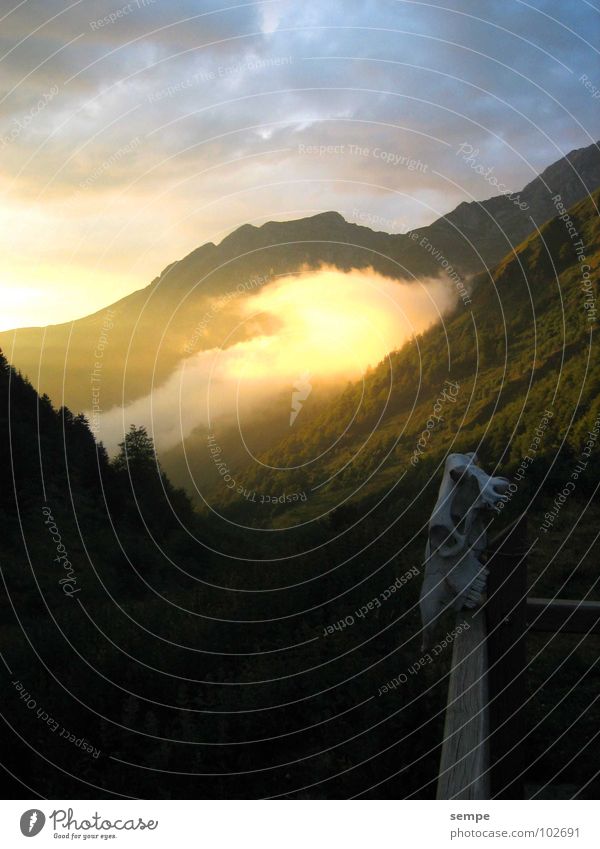 Morgen Grauen Stimmung Romantik Wald Wolken Nebel Berge u. Gebirge Natur Alpen Abend Tal Himmel Pyrenäen Schädel Traurigkeit Außenaufnahme