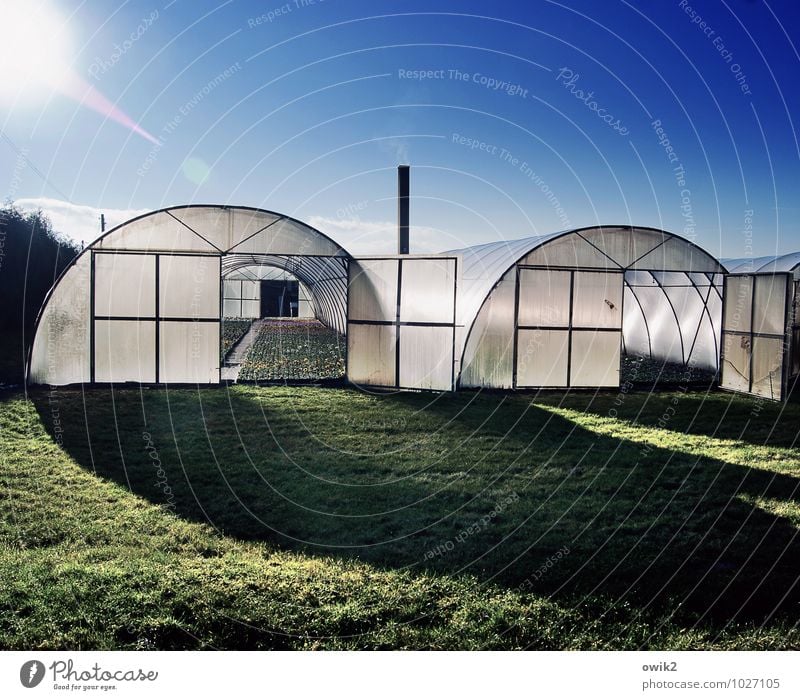 Unter Folie Umwelt Natur Landschaft Pflanze Wolkenloser Himmel Klima Schönes Wetter Gras Grünpflanze Nutzpflanze Bauwerk Gebäude Foliengewächshaus Gewächshaus