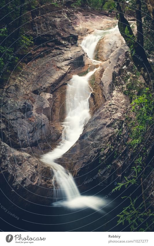 Jusque-là beaucoup d'eau coule de la montagne Natur Wasser Urwald Berge u. Gebirge Bach Fluss Wasserfall Oase Flüssigkeit natürlich Idylle Gedeckte Farben