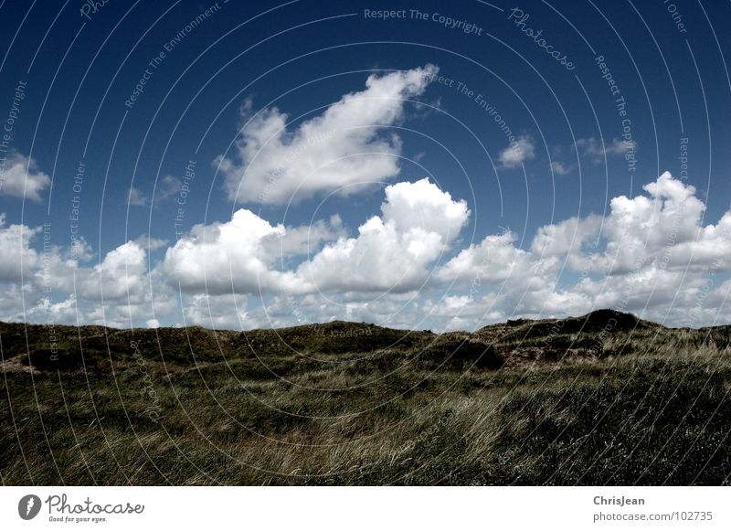 Dünenlandschaft einfach Himmel Wolken Strand Meer tief dunkel rollen Gras Luft Borkum grün Sommer Küste sky Wetter blau Sand blue fliegen ziehen Stranddüne Wind