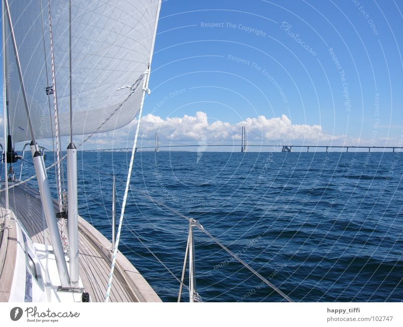 Segeln in Dänemark Meer Wellen Brise Ferien & Urlaub & Reisen schön ruhig Erholung See weiß Europa Segeltörn Wassersport Sportboot An Bord Wasserfahrzeug Wolken