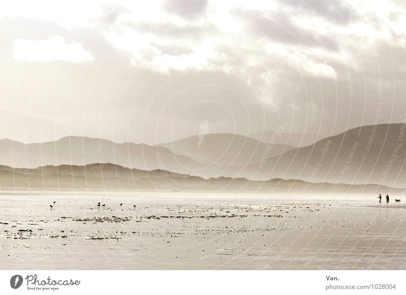 unendliche Weiten Mensch 2 Natur Landschaft Himmel Wolken Nebel Hügel Berge u. Gebirge Küste Strand Meer Republik Irland Hund 1 Tier Ferne frisch hell schön