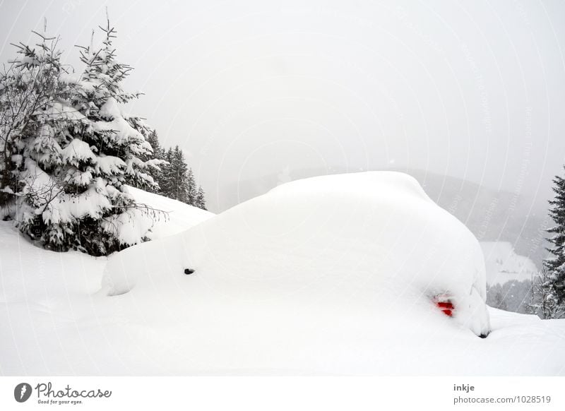 Winterschlaf Lifestyle Ferien & Urlaub & Reisen Abenteuer Schnee Winterurlaub Berge u. Gebirge Klima Wetter Schneefall Baum Tanne Autofahren Fahrzeug PKW weiß