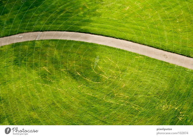 hasenfußweg Wiese Hase & Kaninchen grün Asphalt Igel schwingen Gras Park Garten Kunst Kultur Rasen Wege & Pfade Bürgersteig Schatten versteckte zeichen Spuren