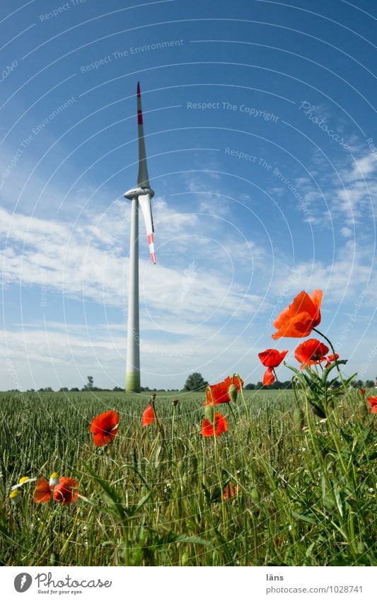 sommerfrische Landwirtschaft Forstwirtschaft Energiewirtschaft Technik & Technologie Fortschritt Zukunft Erneuerbare Energie Windkraftanlage Umwelt Natur