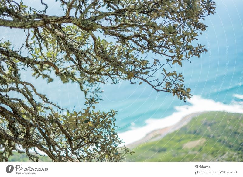 326 Ferien & Urlaub & Reisen Tourismus Ausflug Abenteuer Freiheit Sommer Strand Meer Natur Landschaft Schönes Wetter Baum Berge u. Gebirge Küste Menschenleer