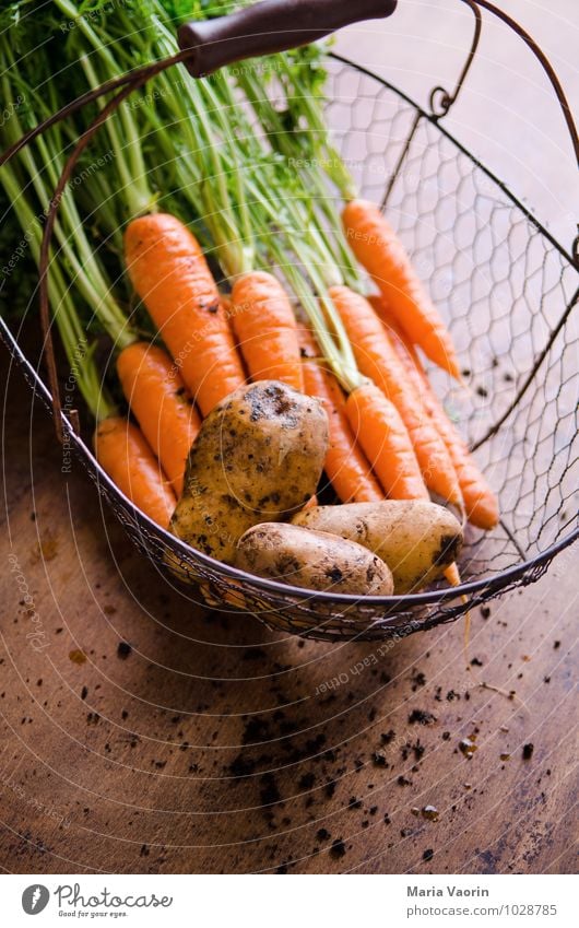 Gartengemüse Lebensmittel Gemüse Ernährung Bioprodukte Vegetarische Ernährung Diät Gesundheit Erde Nutzpflanze dreckig frisch Gemüsegarten Gemüsemarkt