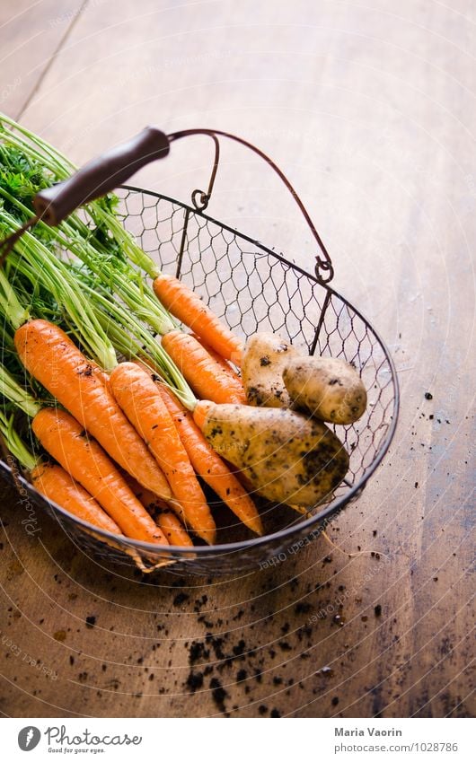 Gartengemüse 2 Lebensmittel Gemüse Ernährung Bioprodukte Vegetarische Ernährung Diät Gesundheit Küche Erde dreckig frisch lecker Möhre Kartoffeln Korb Holztisch