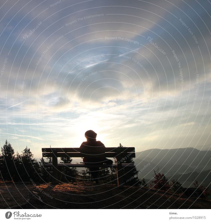 Bank of Allgäu 1 Mensch Umwelt Natur Landschaft Himmel Wolken Winter Sträucher Berge u. Gebirge sitzen dankbar achtsam Gelassenheit geduldig ruhig Sehnsucht