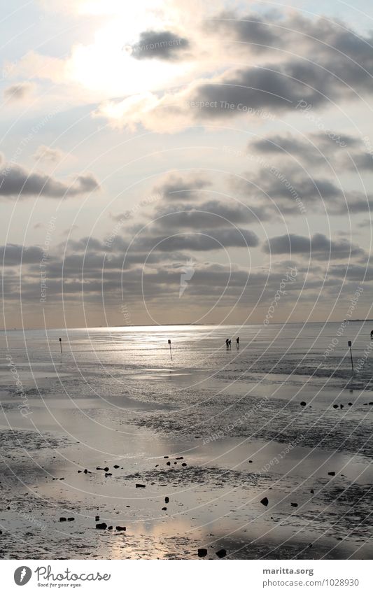 Watt entschleunigt Natur Landschaft Urelemente Wasser Himmel Wolken Horizont Sonnenaufgang Sonnenuntergang Herbst schlechtes Wetter Nordlicht Küste Nordsee