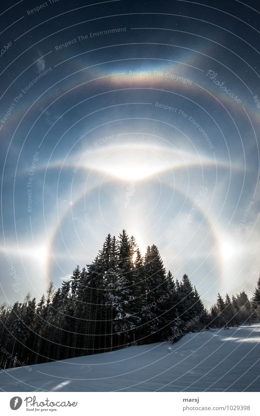 Das Glitzern und Glänzen der Eiskristalle. Parrybogen, Zirkumzenitalbogen, Nebensonnen, Horizontalkreis. Naturphänomen. Landschaft Himmel Wolkenloser Himmel