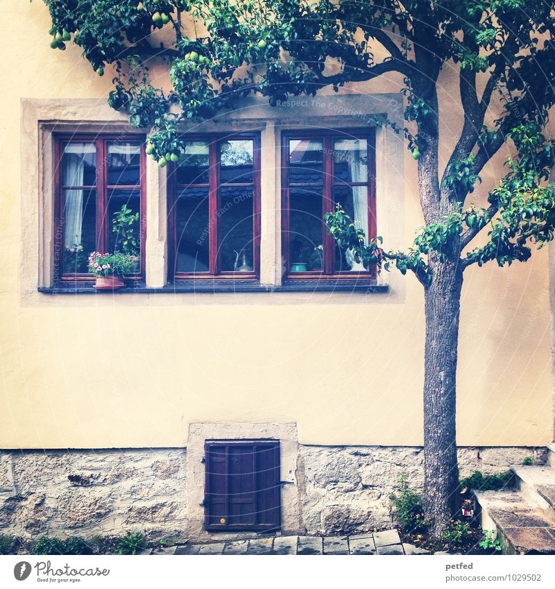 Häusliche Ansichten XII Häusliches Leben Wohnung Haus Baum Altstadt Mauer Wand Treppe Fassade Fenster Tür alt schön einzigartig Idylle Nostalgie Farbfoto