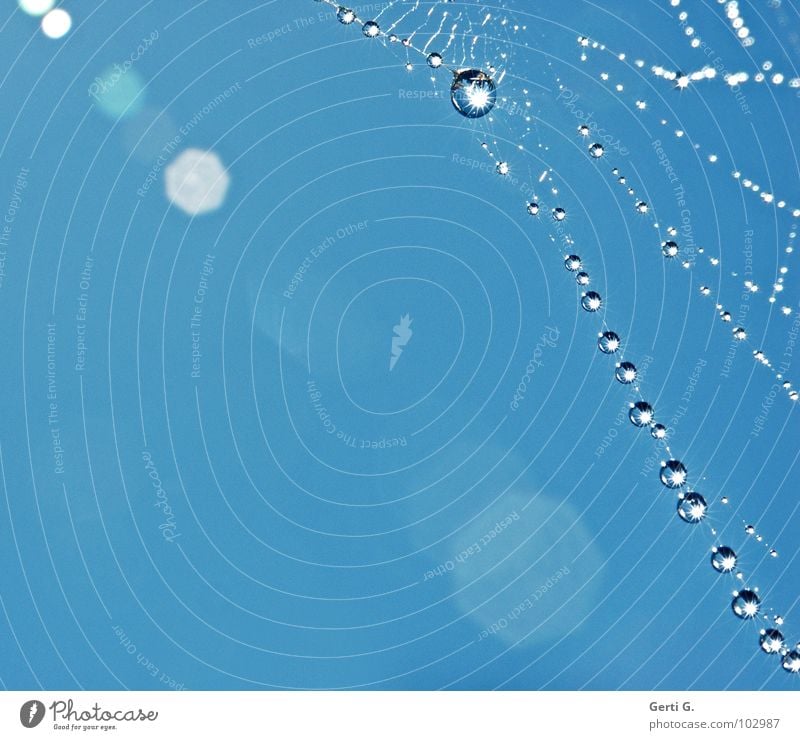 diffus Gegenlicht Lichtpunkt glänzend schimmern heiß Wassertropfen Perlenkette Spinngewebe Stoff kaputt Wandel & Veränderung Platz himmelblau himmlisch