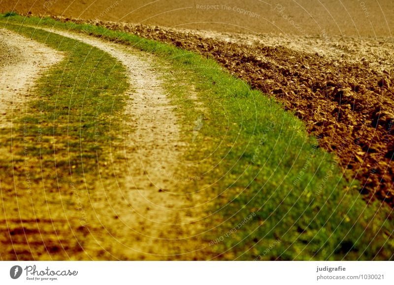 Acker Landwirtschaft Forstwirtschaft Natur Pflanze Erde Feld Wege & Pfade natürlich braun grün Kurve Spuren Gras Farbfoto Außenaufnahme Menschenleer Tag