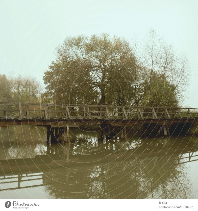 Tschüss, liebe Anne! Und nicht alle Brücken niederreißen. ;-) Umwelt Landschaft Wasser Baum Seeufer Flussufer Teich Holzbrücke Wege & Pfade Fußgängerübergang