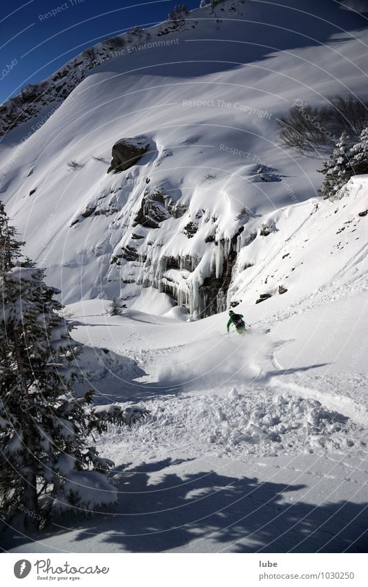 Freerider Tourismus Abenteuer Winter Schnee Winterurlaub Berge u. Gebirge Sport Wintersport Skier Natur Landschaft Schönes Wetter Gipfel Schneebedeckte Gipfel