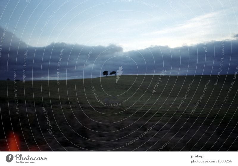 Zu (z)weit Umwelt Natur Landschaft Pflanze Himmel Wolken Gewitterwolken Horizont Wetter schlechtes Wetter Wind Baum Gras Hügel Gefühle Zufriedenheit