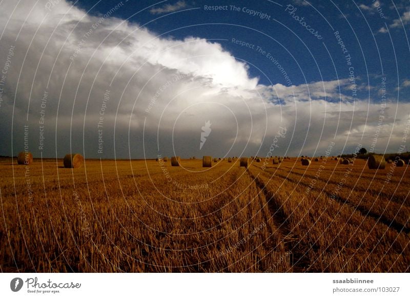 Nach dem Regen Strohballen Wolken Sommer Ernte Physik Duft Stoppelfeld Himmel Kornfeld Wärme