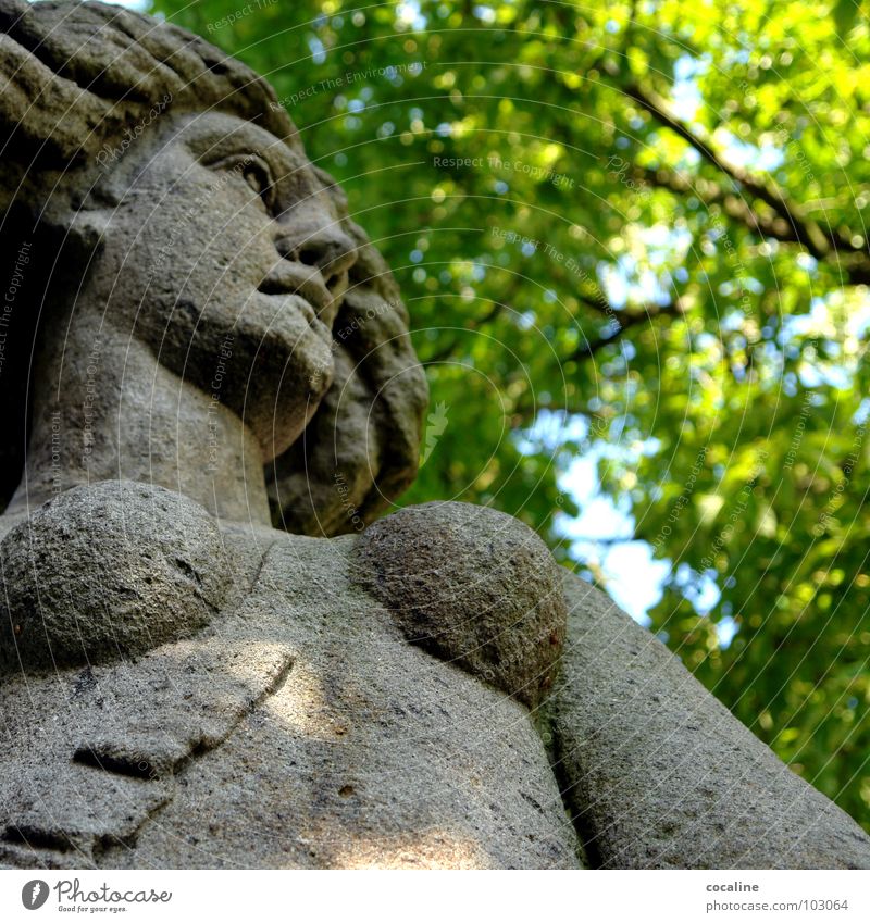 Das Innere zählt Mensch Baum Blatt Frau bewegungslos Wahrzeichen Denkmal Natur Stein steinernd versteinert Brust Blick Amazone Momentaufnahme