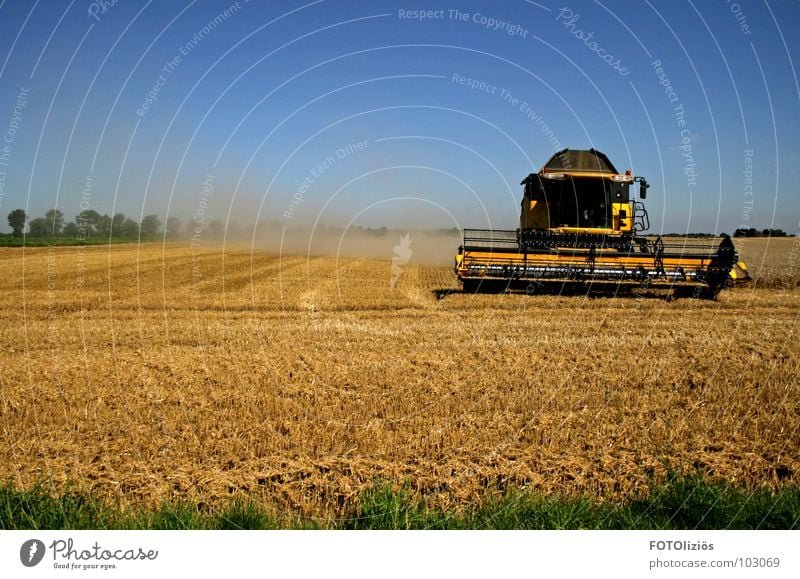 landleben Feld Mähdrescher Staub aufwirbeln Gerste Kornfeld Landarbeiter Landwirt Wiese Halm Baum Getreideernte Heuballen Stroh Strohballen Blauer Himmel