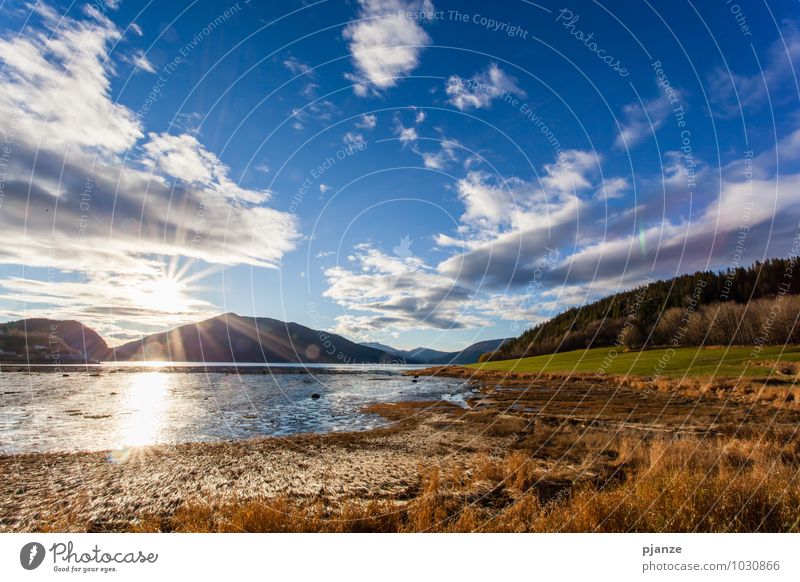 Summerfeeling Ferien & Urlaub & Reisen Ausflug Abenteuer Ferne Freiheit Berge u. Gebirge Natur Landschaft Pflanze Wasser Himmel Wolken Sonne Sonnenlicht Sommer