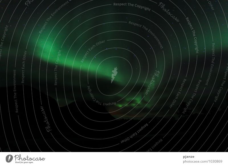 Nordlicht Abenteuer Ferne Winter Natur Himmel Wolkenloser Himmel Nachthimmel Stern Horizont Herbst Schönes Wetter Schnee Fjord Ferien & Urlaub & Reisen dunkel