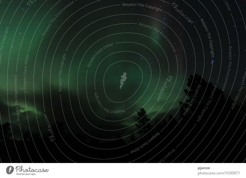 Nordlicht Ausflug Abenteuer Ferne Freiheit Winter Berge u. Gebirge Natur Landschaft Luft Himmel Wolkenloser Himmel Nachthimmel Stern Horizont Sonnenfinsternis