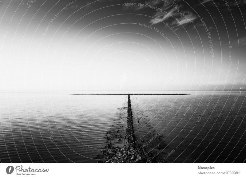 rock groyne in the North Sea II Meer Wellen Landschaft Wasser Himmel Wolken Sommer Schönes Wetter Küste Nordsee Stein schwarz weiß Buhne Steinbuhne Cirrus