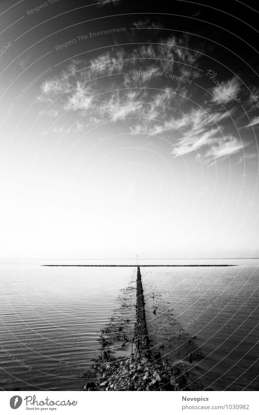 rock groyne in the North Sea I Meer Wellen Landschaft Wasser Himmel Wolken Sommer Küste Nordsee Stein schwarz weiß Buhne Steinbuhne Cirrus Federwoelkchen