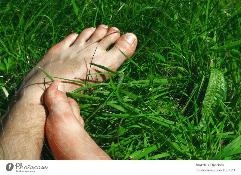 AM SEE Barfuß Sommer See Strand Wiese Liegewiese lesen Schuhe Gesundheit Erholung genießen Freizeit & Hobby Luft Sonntag Samstag Wochenende