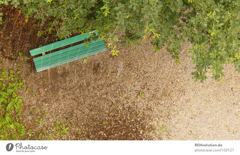 Ein Plätzchen im Grünen ... Platz grün Vogelperspektive Blatt Waldlichtung Erholung hinsetzen Müdigkeit Einsamkeit Baum Heimat Ankunft Erreichen Denken