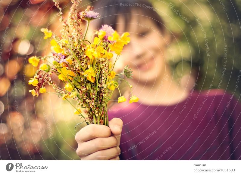 nimm! Muttertag Geburtstag Mensch Kind Junge Familie & Verwandtschaft Freundschaft Kindheit Jugendliche Leben Hand 1 Blume Wildpflanze Blumenstrauß Wiesenblume