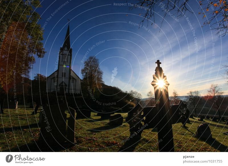 Heiligenschein Zufriedenheit Ferien & Urlaub & Reisen Architektur Landschaft Wolkenloser Himmel Sonnenlicht Herbst Baum Gras Hügel Fischerdorf Kirche Dom