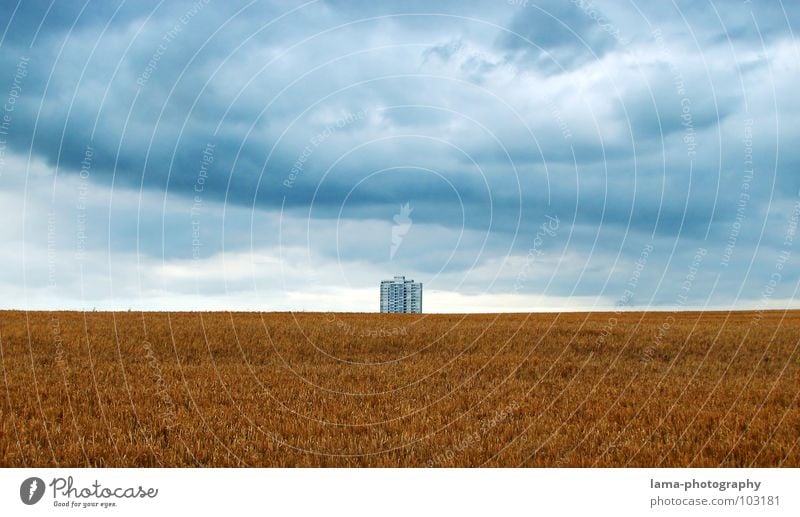 Einsamer Riese III Ernte Weizen Ähren Feld Kornfeld Gerste Landwirtschaft Bauernhof Herbst Fußweg Wiese Spurrinne ländlich Unwetter Wolken schlechtes Wetter