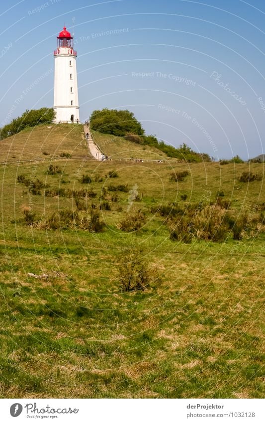 Gut sichtbar: Leuchtturm auf Hiddensee Freizeit & Hobby Ferien & Urlaub & Reisen Tourismus Ausflug Abenteuer Ferne Freiheit Umwelt Natur Landschaft Pflanze