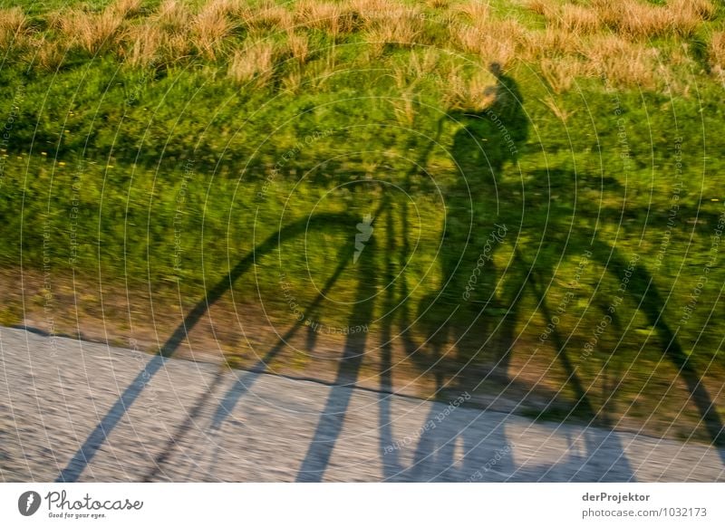 Mein Schatten fährt schneller Tourismus Ausflug Mensch maskulin 18-30 Jahre Jugendliche Erwachsene Umwelt Natur Landschaft Pflanze Frühling Schönes Wetter Gras