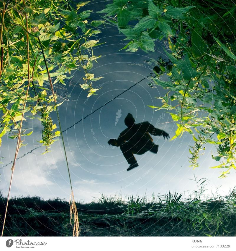 up = down springen Spiegel Reflexion & Spiegelung Oberfläche Tier Sommer grau-gelb Anzug gedreht verkehrt Freude Luftverkehr fly hoch mirror refection