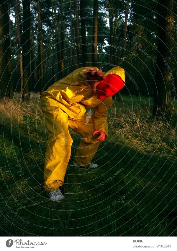 rotkäppchen gelb grau grau-gelb Wald Knie Anzug Schutzanzug verrückt Konzentration Macht deep in the woods tief im wald Natur grey grellow kneel knieend