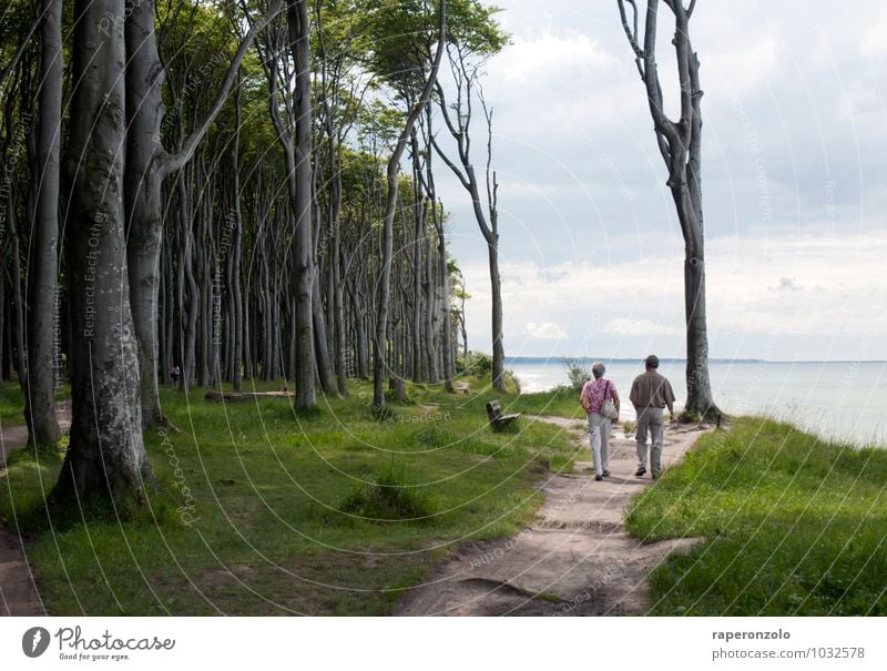 To my parents Ferien & Urlaub & Reisen Tourismus Ausflug Sommer Meer Mensch Paar Senior 2 60 und älter Wald Ostsee gehen Zusammensein grün Ende Wege & Pfade