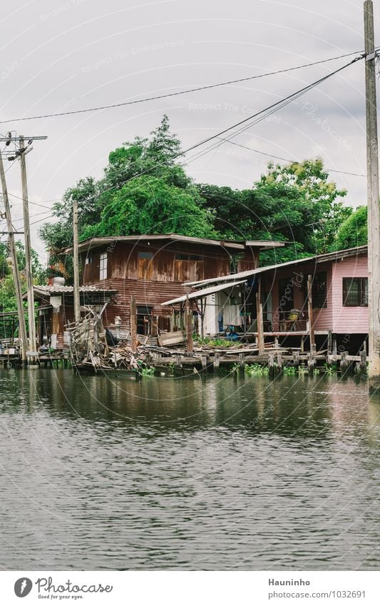 Haus am großen Fluss Ferien & Urlaub & Reisen Abenteuer Ferne Sommer Häusliches Leben Wohnung Renovieren Holzhaus Wasser Himmel Baum Wildpflanze Wasserpflanze