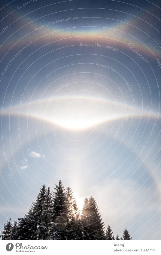 Phänomen Natur Himmel Wolkenloser Himmel Sonne Sonnenlicht Winter Schönes Wetter Eis Frost leuchten außergewöhnlich gigantisch blau Lebensfreude Hoffnung