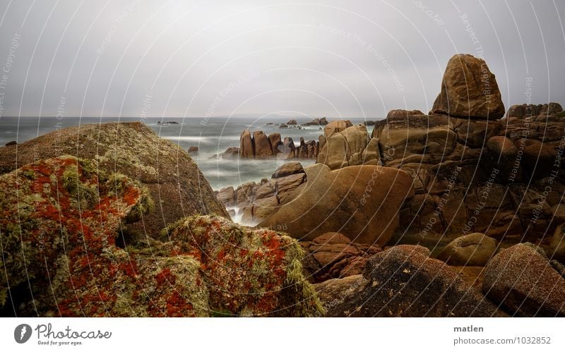 Flechten Natur Landschaft Pflanze Wasser Himmel Wolken Horizont Wetter schlechtes Wetter Sturm Moos Felsen Wellen Küste Fjord Meer braun grau grün rot bizarr