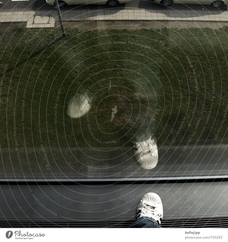 learning to fly Spiegelbild Fenster grün Grünfläche Schuhe Turnschuh weiß Tanzfläche Bürgersteig Reflexion & Spiegelung Aluminium stehen Aussicht Selbstmörder