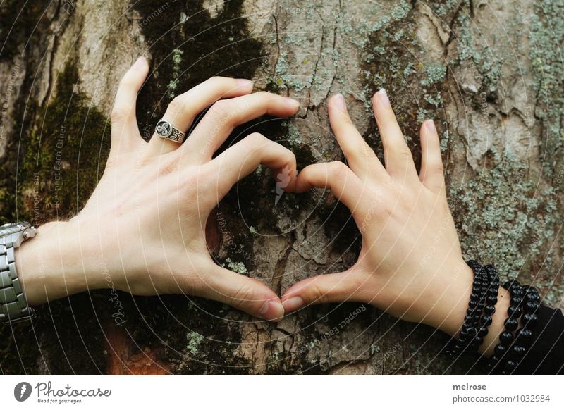 You and I Glück Valentinstag maskulin feminin Frau Erwachsene Mann Paar Hand Finger 2 Mensch 18-30 Jahre Jugendliche Umwelt Frühling Baum Baumstamm Baumrinde