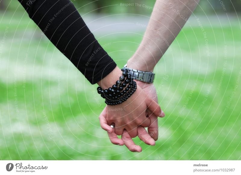 Hand in Hand II Lifestyle Stil Valentinstag Mensch Junge Frau Jugendliche Junger Mann Paar Partner Arme Finger 2 18-30 Jahre Erwachsene Natur Sommer Wiese