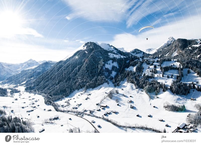 Flug nach Hause Leben harmonisch Erholung ruhig Freizeit & Hobby Ausflug Ferne Freiheit Winter Schnee Berge u. Gebirge Sport Gleitschirmfliegen Natur Landschaft