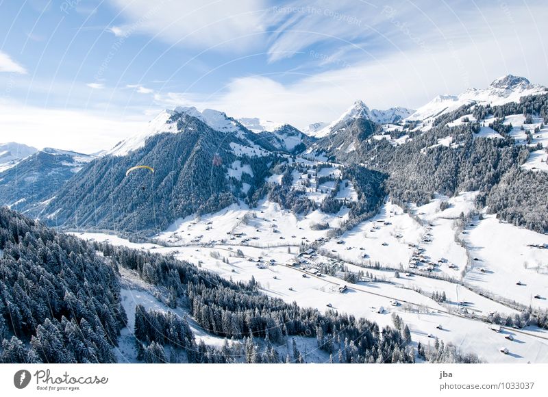 Flug nach Hause Erholung ruhig Freizeit & Hobby Ausflug Freiheit Winter Schnee Berge u. Gebirge Sport Gleitschirmfliegen Sportstätten Natur Landschaft