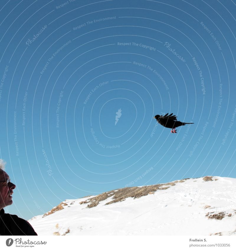 Vogelperspektive Mann Erwachsene Kopf Gesicht 1 Mensch 45-60 Jahre Natur Landschaft Himmel Wolkenloser Himmel Winter Alpen Berge u. Gebirge