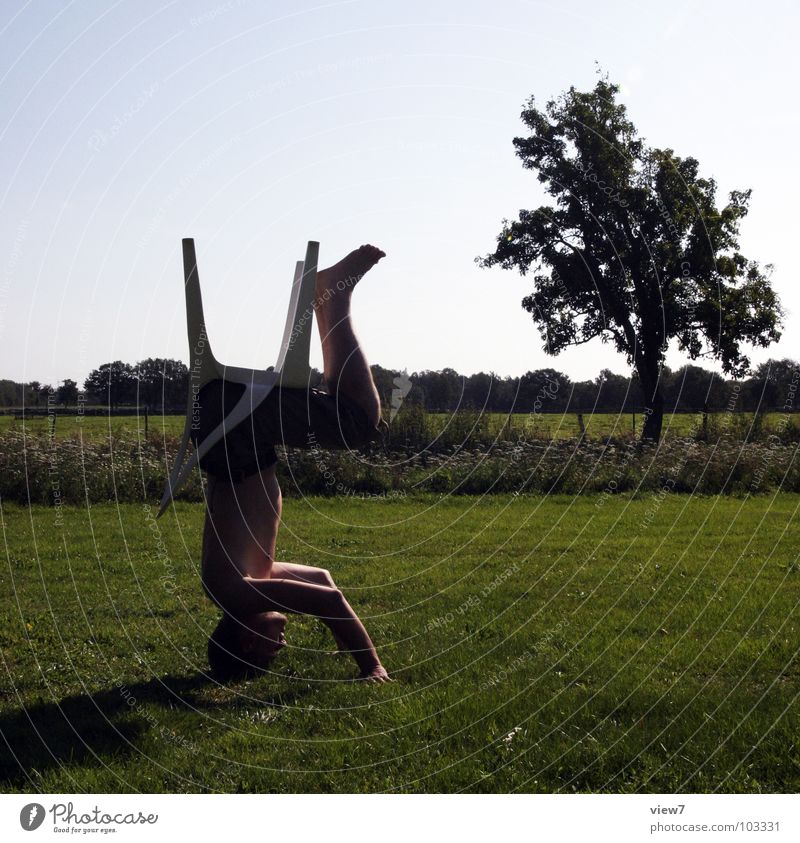 KOPFsitz Baum Mann Wiese Himmel Kunst alternativ Kultur Stil klein Krimskrams Handstand Aktion Kopfstand pseudo